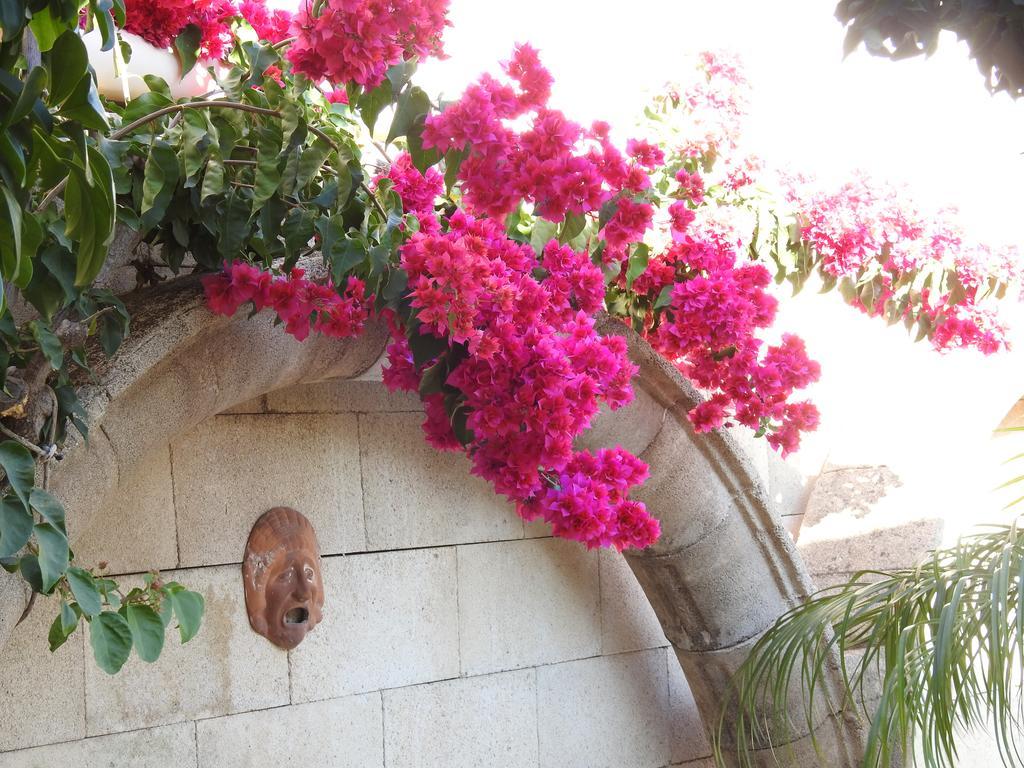 Nikos Ikies Hotel เธโอโลกอส ภายนอก รูปภาพ